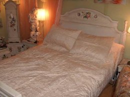 Komplet Welurowa Narzuta i Poszewki z Haftem Kwiatowym, Kolor Kremowy