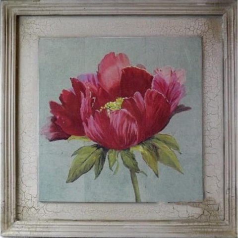 Obraz Vintage Piwonia w odcieniach różu 38x38 cm z kolekcji Trio