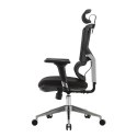 Fotel ergonomiczny ANGEL biurowy obrotowy Dakota 2.0