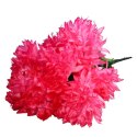 BUKIET 7 CHRYZANTEM RÓŻOWYCH FI 20 CM