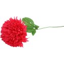 CHRYZANTEMA POJEDYKA RÓŻOWA FI 22CM