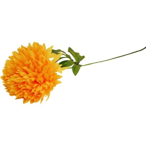CHRYZANTEMA POJEDYKA ŻÓŁTA FI 22CM