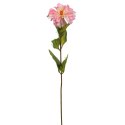 Cynia w kolorze jasnoróżowym - gałązka o długości 75 cm