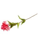 Różowa Cynia - Gałązka Dekoracyjna 75 cm