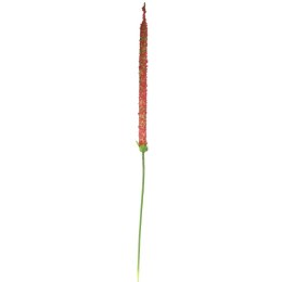 Sztuczny kwiat - gałązka czosnku w spiralnym kształcie, kolor ciemny róż, długość 110cm