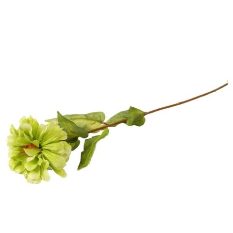 Zielona Cynia - Gałązka Dekoracyjna o długości 75 cm
