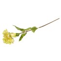 Żółta Cynia Dekoracyjna 75 cm