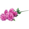 BUKIET 6 CHRYZANTEM BIAŁYCH 72 CM FIOLETOWYCH