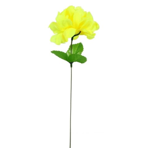Chryzantema pojedynka z listkiem cytrynowa 35 cm