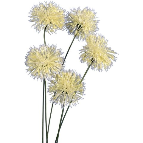 Gałązka dekoracyjna z 5 sztucznymi kwiatami czosnku, biała, 65 cm