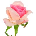 Róża sztuczna pojedynka w pąku kolor jasny róż 68 cm