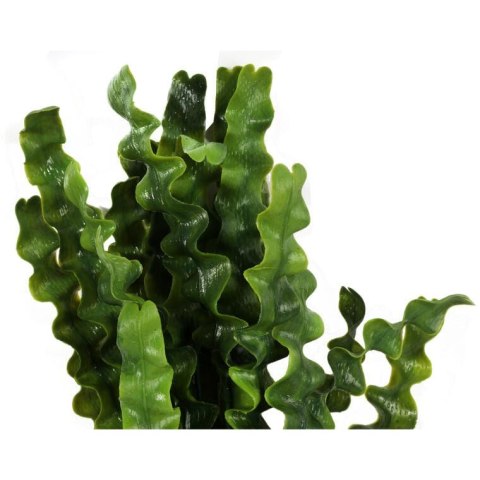 Sztuczny Bukiet Glonów 38 cm - Zielony