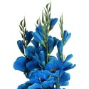 Sztuczny Bukiet Niebieskich Gladioli - 5 Sztuk, Wysokość 65 cm
