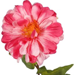Ciemnoróżowa Cynia - Gałązka Kwiatu o Wysokości 75 cm