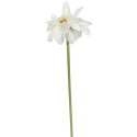 GERBERA KWIAT POJEDYNCZY 70 cm KOLOR BIAŁY
