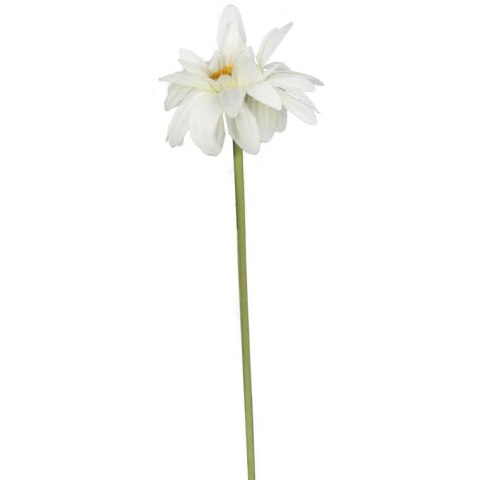 GERBERA KWIAT POJEDYNCZY 70 cm KOLOR BIAŁY