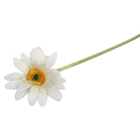GERBERA KWIAT POJEDYNCZY 70 cm KOLOR BIAŁY