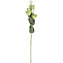 Zielona Gałązka Eustoma z 6 Kwiatami - Dekoracja Naturalnej Urody