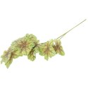CALADIUM GAŁĄZKA LIŚCI OZDOBNYCH 82 CM KOLOR ZIELONY