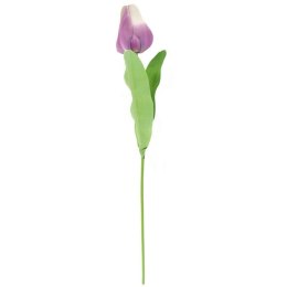 TULIPAN POJEDYNKA KOLOR FIOLETOWY
