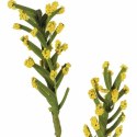 GAŁĄZKA JAGLANA 68 CM KOLOR ŻÓŁTY