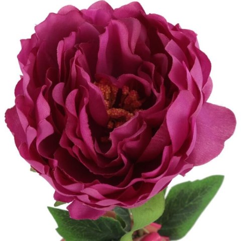 PIWONIA 68cm KOLOR RÓŻOWY