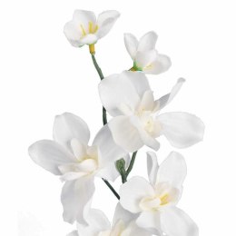 STORCZYK GAŁĄZKA KOLOR BIAŁY 66 CM