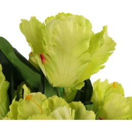 Bukiet 7 TULIPANÓW PAPUZICH 54 cm ZIELONY