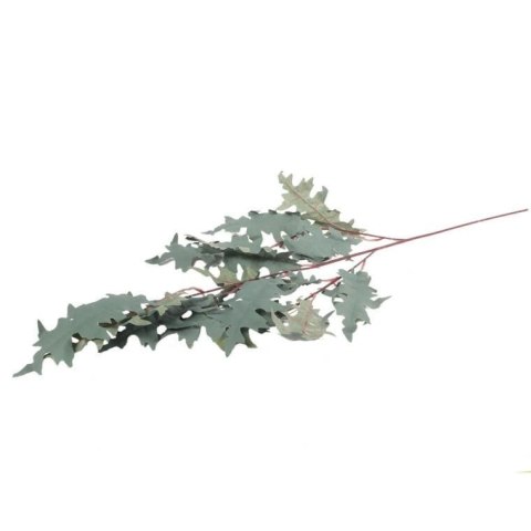 GAŁĄZKA LIŚCI DĘBU BŁOTNEGO 100 CM SZARA