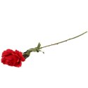 Sztuczna Gałązka Róży kolor ciemno czerwony- Dekoracja Wysokość 70 cm