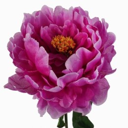 Sztuczna Piwonia w Kolorze Kremowym o Wysokości 74cm
