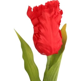 TULIPAN STRZĘPIASTY 54 CM CZERWONY