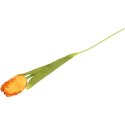 TULIPAN STRZĘPIASTY 54 CM POMARAŃCZOWY
