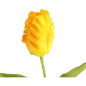 TULIPAN STRZĘPIASTY 54 CM ŻÓŁTY