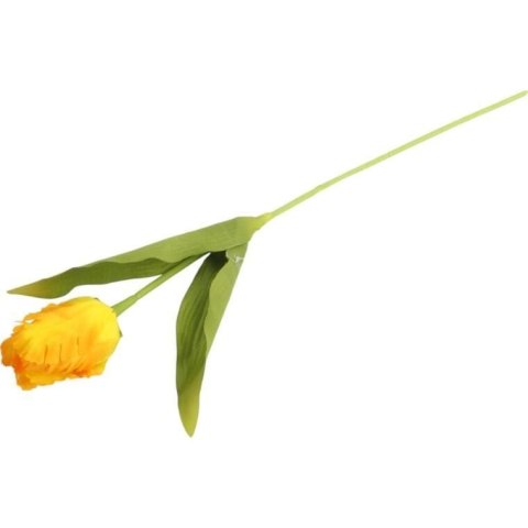 TULIPAN STRZĘPIASTY 54 CM ŻÓŁTY