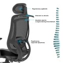 Fotel biurowy ergonomiczny Rosa 2.0 czarny ANGEL