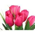 Bukiet 6 TULIPANÓW z trawką 34 cm różowy