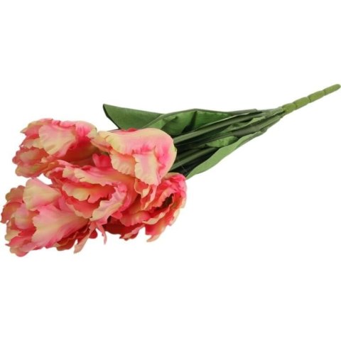 Bukiet 7 TULIPANÓW PAPUZICH 54 cm ŁOSOSIOWY