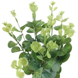 Bukiet liści EUCALYPTUSA w kolorze ZIELONYM 50 cm