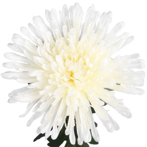 CHRYZANTEMA 76 CM BIAŁA