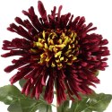 CHRYZANTEMA 76 CM BORDOWA