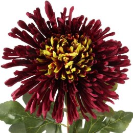 CHRYZANTEMA 76 CM BORDOWA