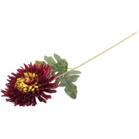 CHRYZANTEMA 76 CM BORDOWA