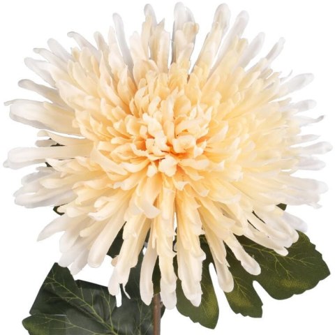 CHRYZANTEMA 76 CM KREMOWA