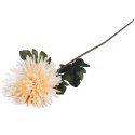 CHRYZANTEMA 76 CM KREMOWA