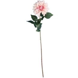 Dalia DUŻY kwiat pojedynczy ŁOSOSIOWY 74 cm