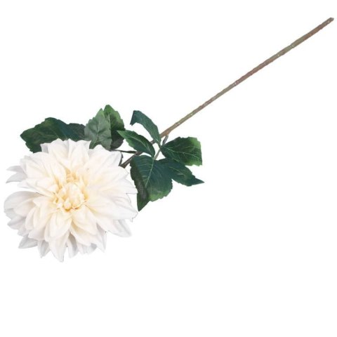 Daliia DUŻY kwiat pojedynczy KREMOWA 74 cm