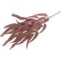 GAŁĄZKA LIŚCI PAPIRUSA 70 cm KOLOR BORDOWY
