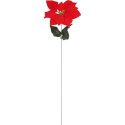 Kwiat pojedynczy Gwiazda Betlejemska Poinsecja 64 cm CZERWONA