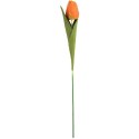 TULIPAN 45 CM pomarańczowy